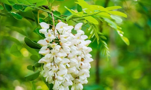 遮瑕膏和bb霜一样吗-bb和遮瑕膏有什么区别网 - 为你提供bb和隔离霜有什么区别、遮瑕膏和bb霜一样吗