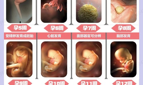 bb和遮瑕膏有什么区别网 - 为你提供bb和隔离霜有什么区别、遮瑕膏和bb霜一样吗