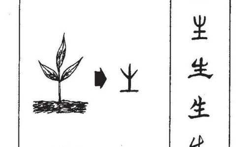 遮瑕霜和bb霜有什么区别-bb和遮瑕膏有什么区别网 - 为你提供bb和隔离霜有什么区别、遮瑕膏和bb霜一样吗